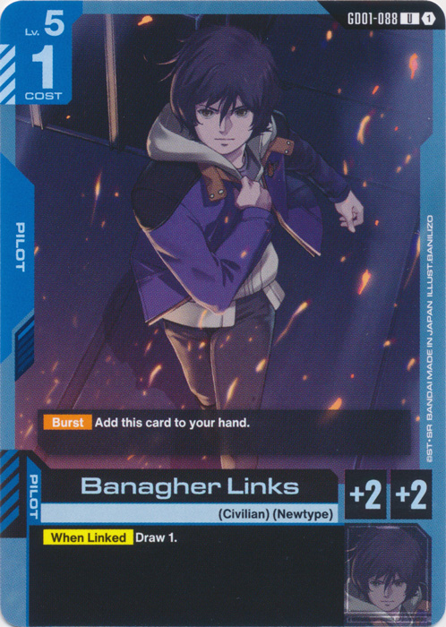 Banagher Links (Launch Event)